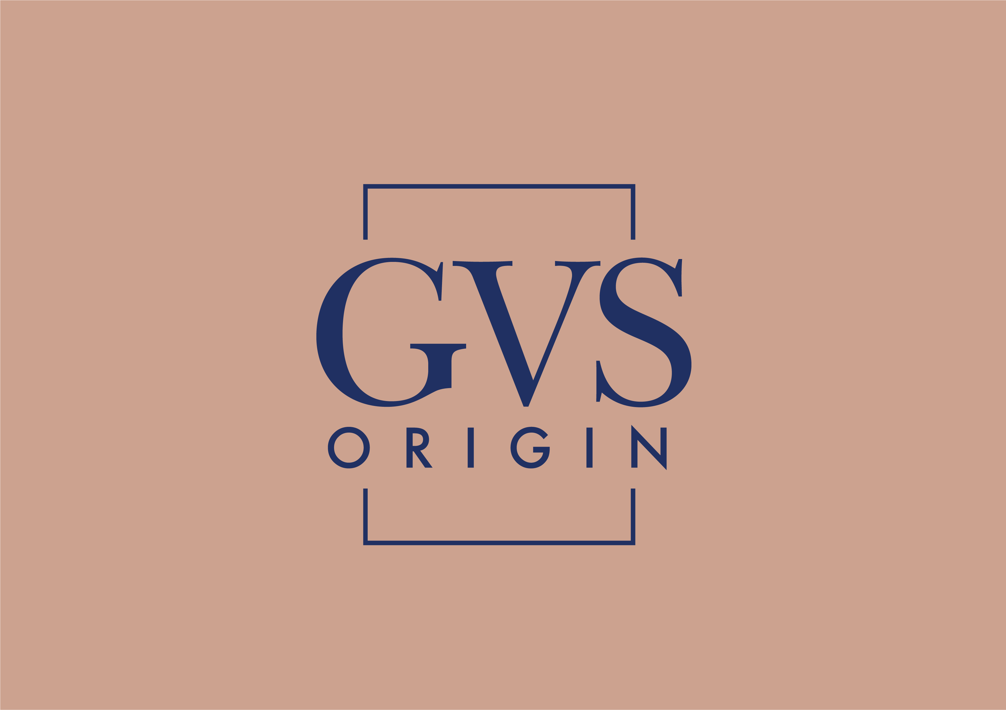 GVS ORIGIN Logo